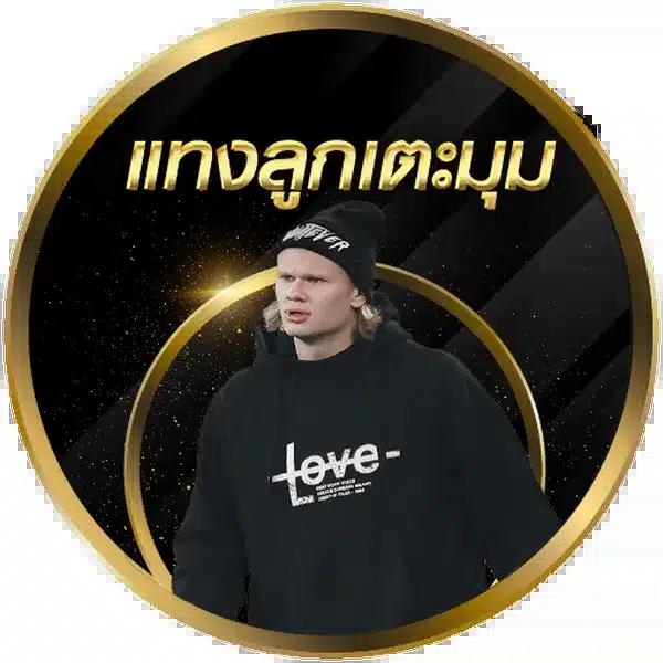 ทดลองเล่นบาคาร่า เว็บตรง ฝากถอนออโต้ สล็อต 2026